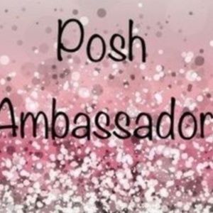 Posh Ambassador closet FYI